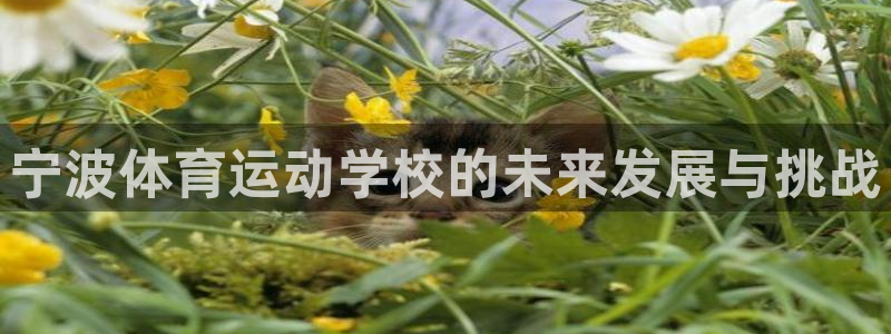 海南oety欧亿体育官网下载：宁波体育运动学校的未来