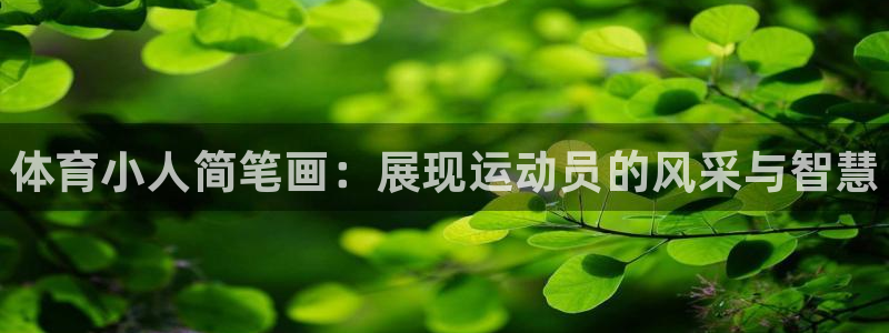 欧亿体育官方正版app娱乐40996：体育小人简笔画：展现运