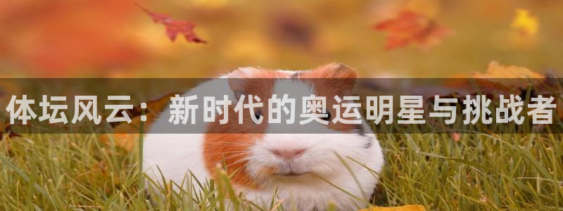 oety欧亿体育官网下载平台假的吗是真的吗：体坛风云