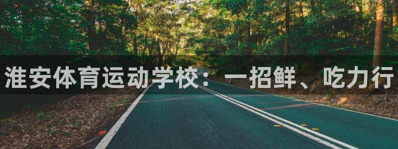 欧亿体育官方正版app新能源