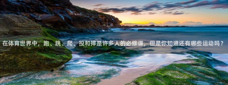 欧亿体育官方正版app集团官网首页网址：在体育世界中