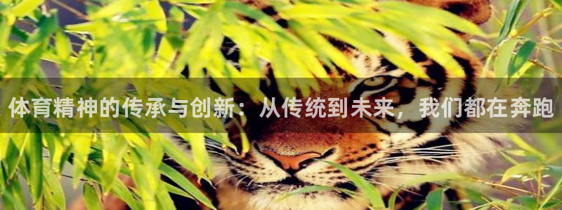oety欧亿体育官网下载招商电话号码是多少号：体育精