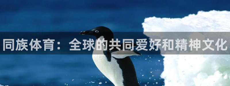 oety欧亿体育官网下载招商：同族体育：全球的共同爱好和精神