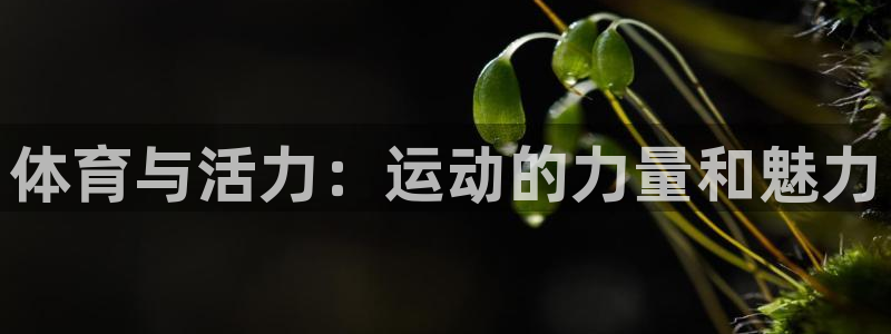 oety欧亿体育官网下载平台APP：体育与活力：运动的力量和