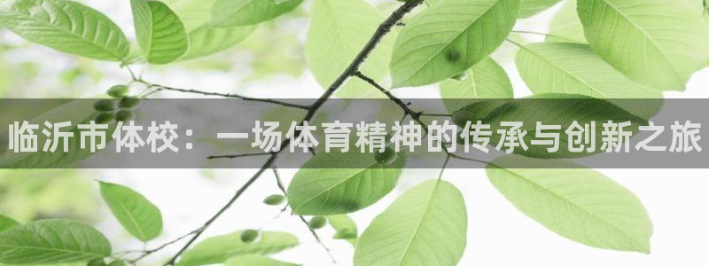 oety欧亿体育官网下载开户