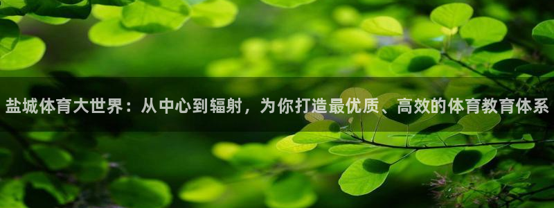 欧亿体育官方正版app娱乐首页网站大全：盐城体育大世界：从中