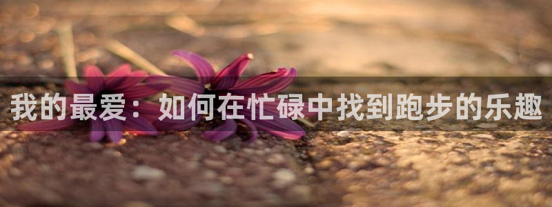 海南oety欧亿体育官网下载：我的最爱：如何在忙碌中