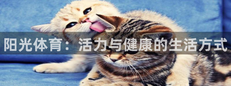 oety欧亿体育官网下载平台注册要钱吗：阳光体育：活力与健康
