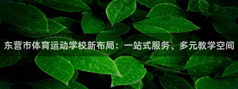 oety欧亿体育官网下载平台注册要钱吗是真的吗：东营市体育运