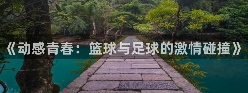 oety欧亿体育官网下载平台注册流程视频：《动感青春：篮球与