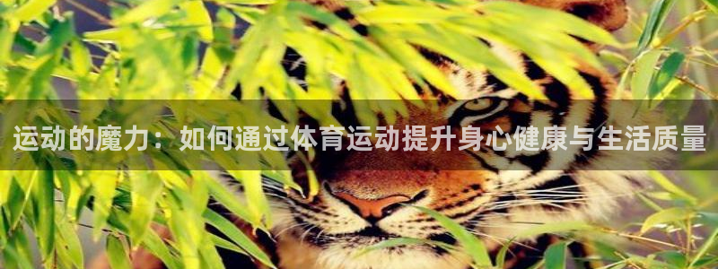 欧亿体育官方正版app娱乐首页官网下载：运动的魔力：