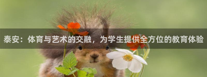 oety欧亿体育官网下载：泰安：体育与艺术的交融，为