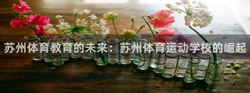 oety欧亿体育官网下载招商电话号码查询：苏州体育教