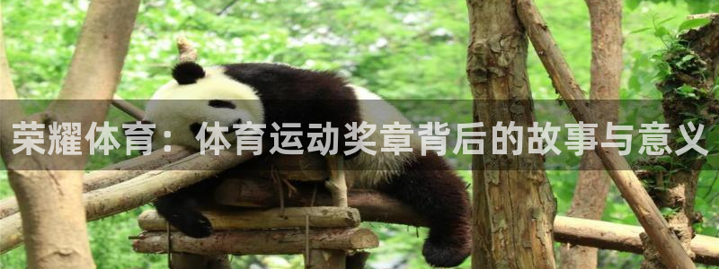 欧亿体育官方正版app开户：荣耀体育：体育运动奖章背