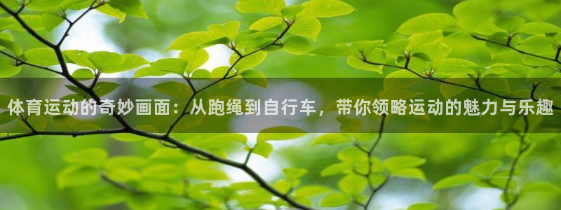 oety欧亿体育官网下载平台APP：体育运动的奇妙画