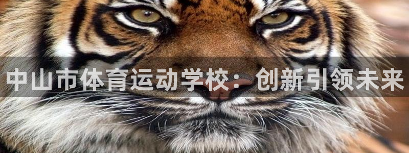 oety欧亿体育官网下载是干嘛的公司：中山市体育运动学校：创