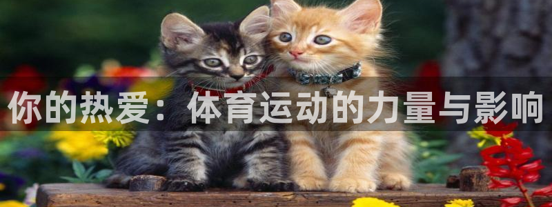 oety欧亿体育官网下载招商电话是多少啊：你的热爱：体育运动