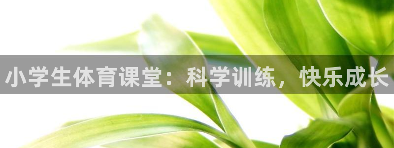 欧亿体育官方正版app娱乐网站：小学生体育课堂：科学训练，快