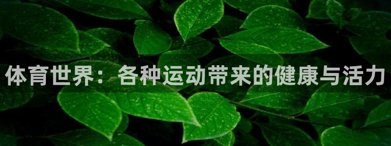 欧亿体育官方正版app集团官网首页：体育世界：各种运动带来的